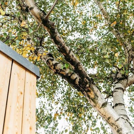 Carmen Eco-Pod / Treehouse, Close To Cabot Circus Bristol Buitenkant foto