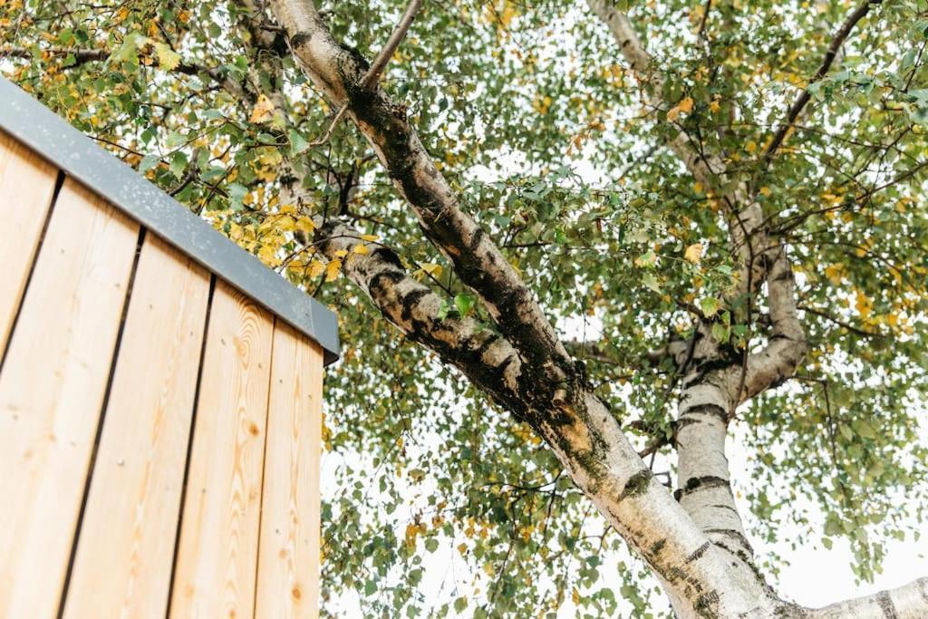 Carmen Eco-Pod / Treehouse, Close To Cabot Circus Bristol Buitenkant foto